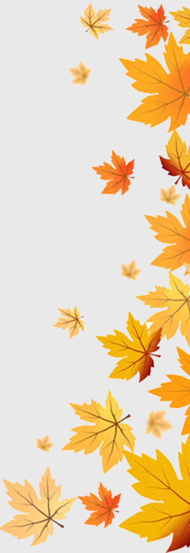 Autumn Harvest FALL in love with these products