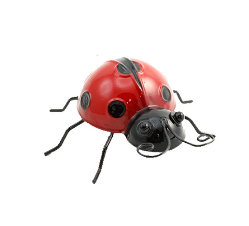 Ladybug Small