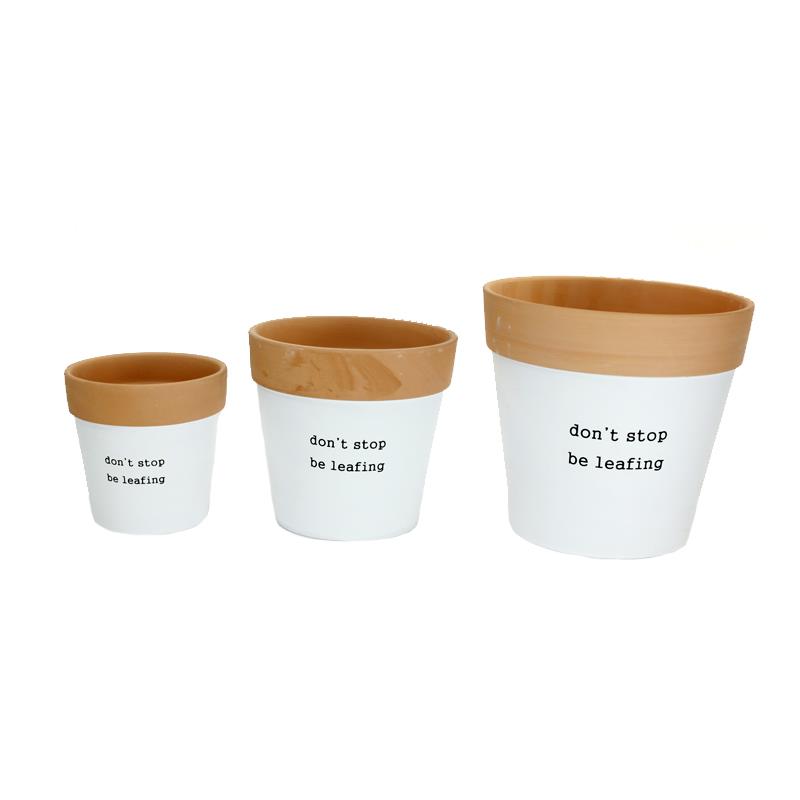 Set of 3 Be Leafing  Planters