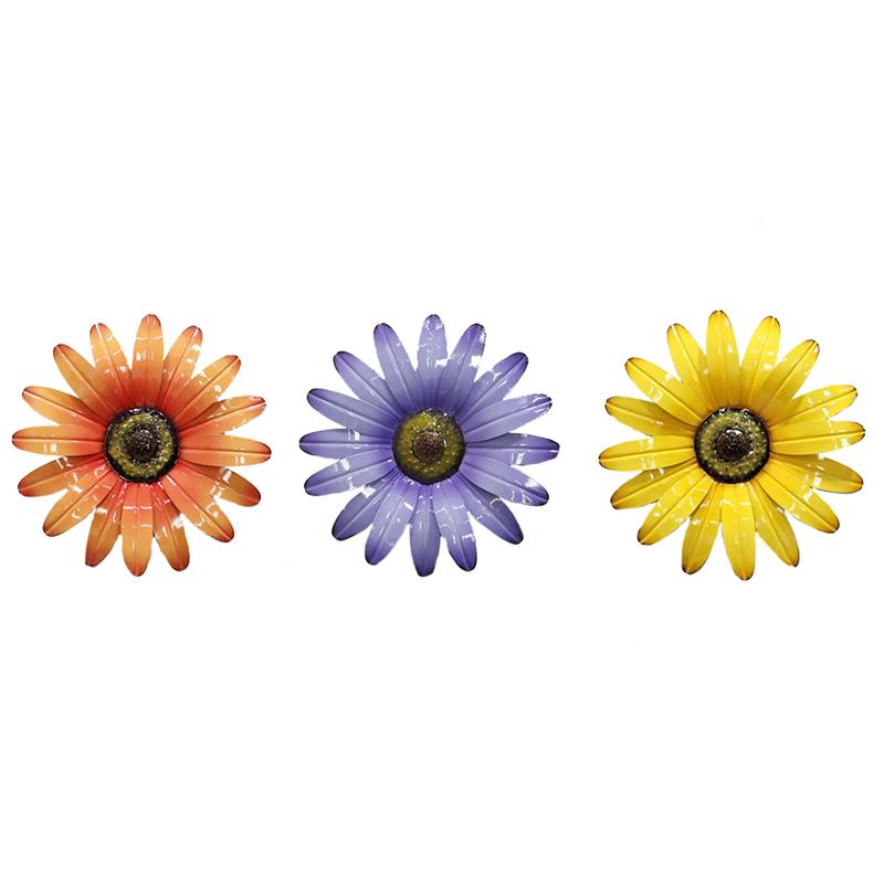 3 Asst. Daisies