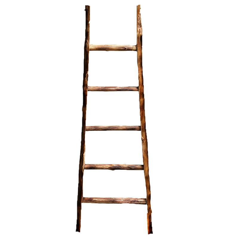 Ladder Decor*