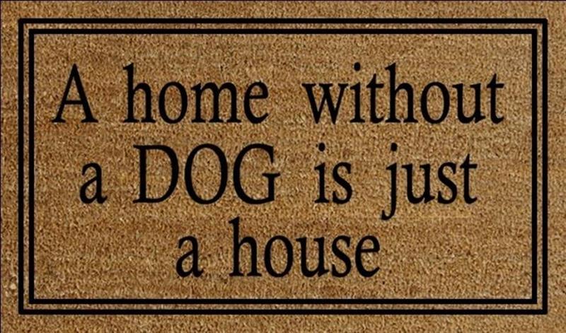 Home Without A Dog Doormat