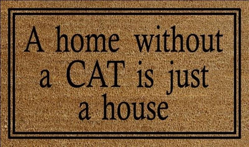 Home Without A Cat Doormat