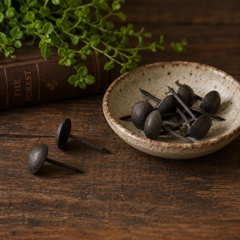  Cast Iron Nails