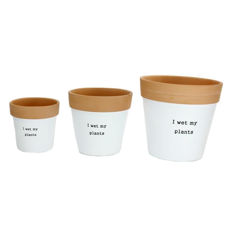 Set of 3 Wet My Plants Planter