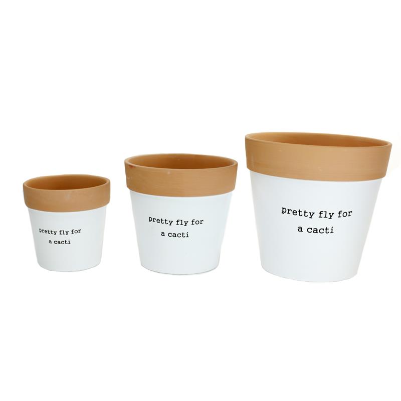 Set of 3 Fly For A Cacti  Plan