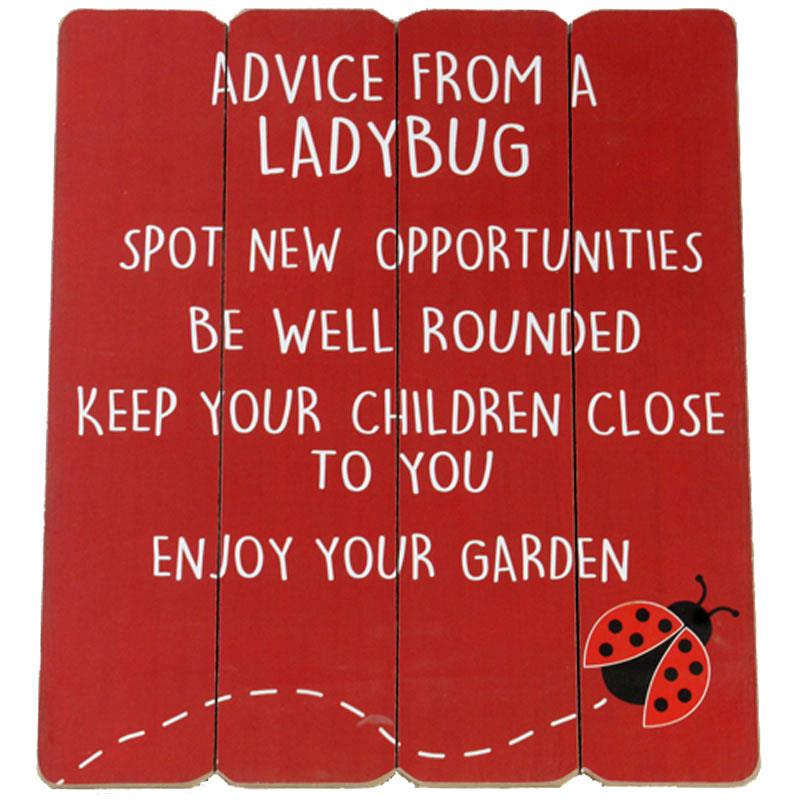 Advice From A Ladybug