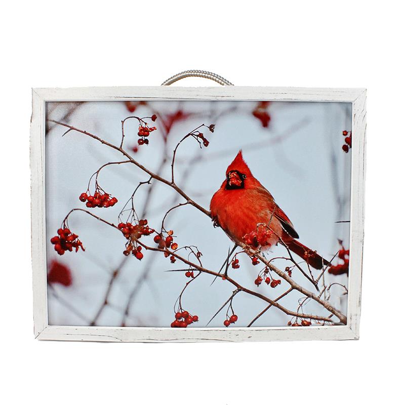 Cardinal LED Wall Art