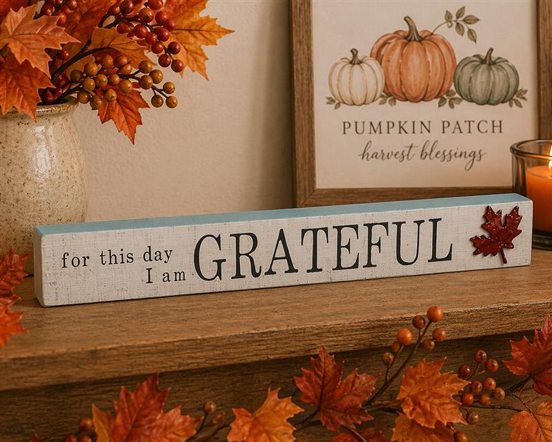 Grateful Shelf Sitter
