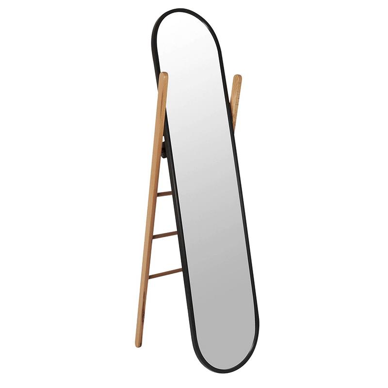 Floor Mirror With Ladder