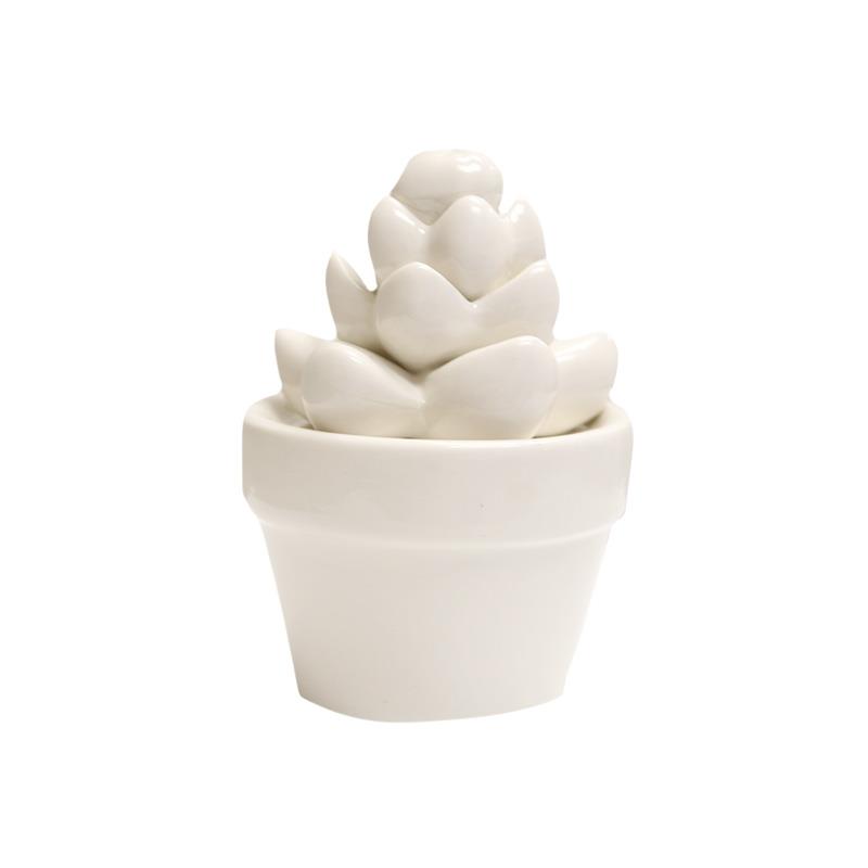 Ceramic Succulent Med White