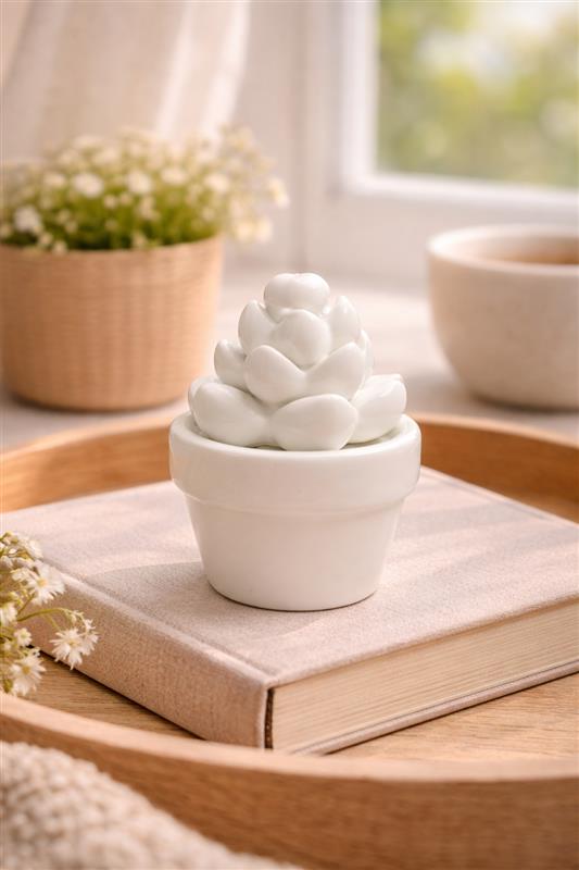 Ceramic Succulent Med White