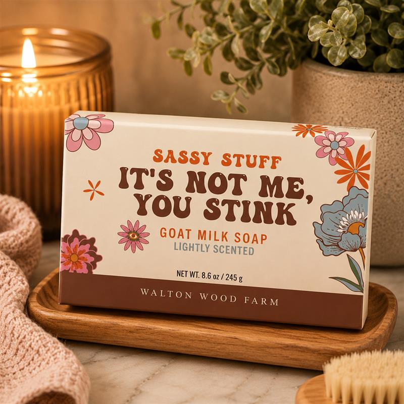SOAP BAR- NOT ME YOU STINK